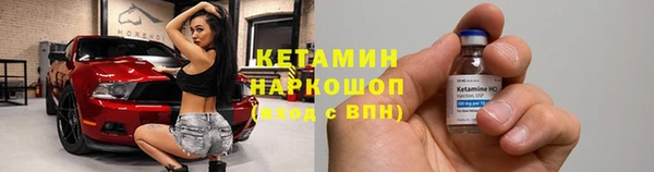 крисы Аркадак
