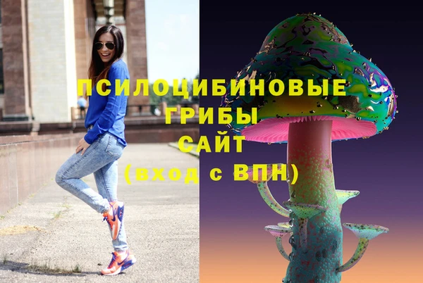 крисы Аркадак
