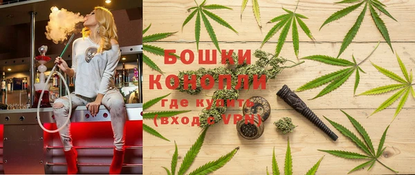 крисы Аркадак