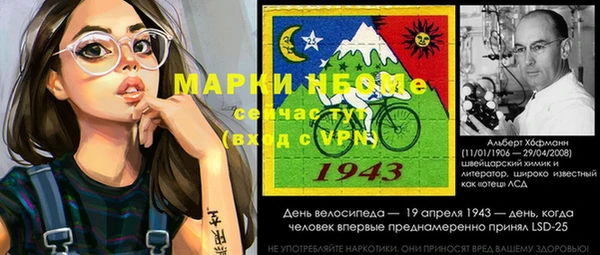 стаф Алексин
