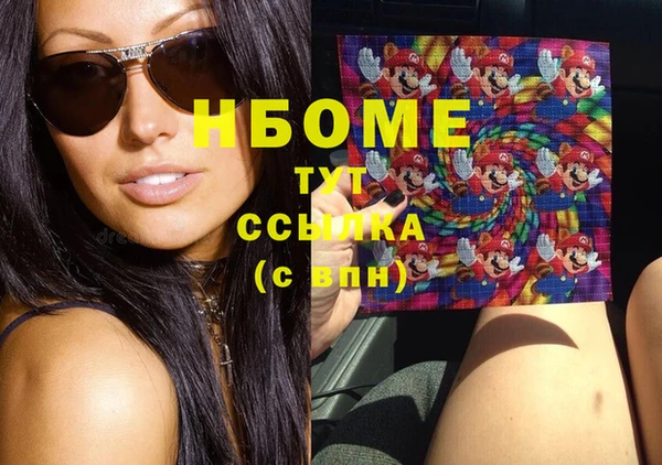 индика Алзамай