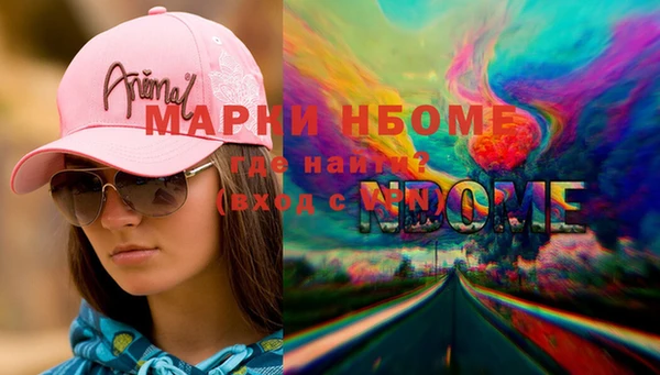 индика Алзамай