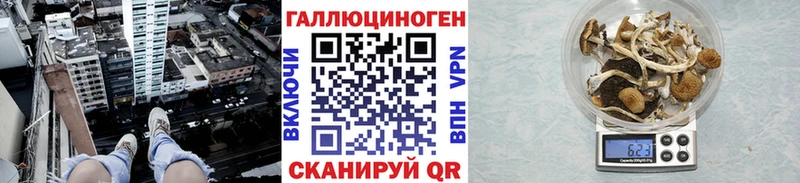 Купить  Миллерово  Псилоцибиновые грибы Psilocybe 